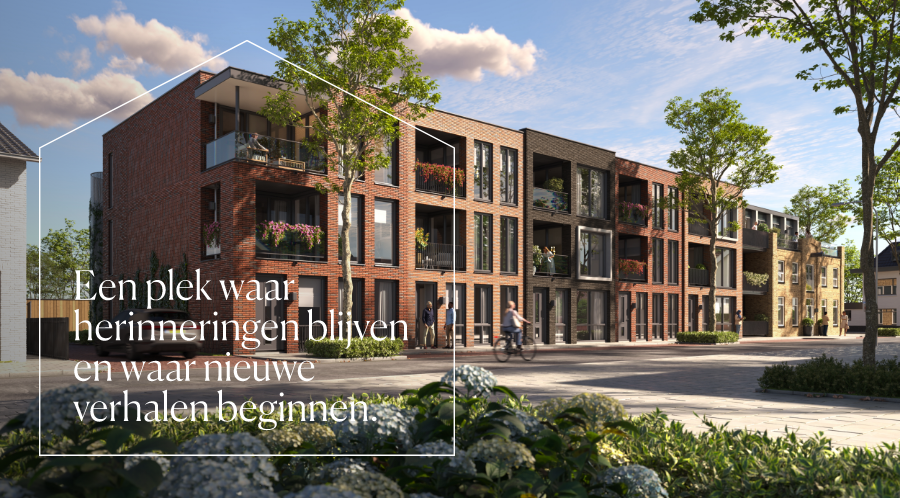 Beeld 2